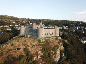 Royal St Davids Castle Hill